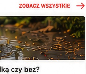 Kalosze na deszcz